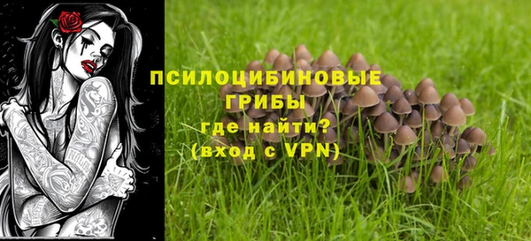 гидропоника Бугульма
