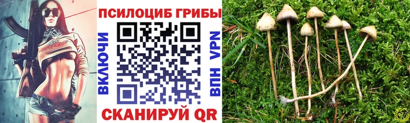 Купить закладки  Саяногорск  Псилоцибиновые грибы Psilocybe 